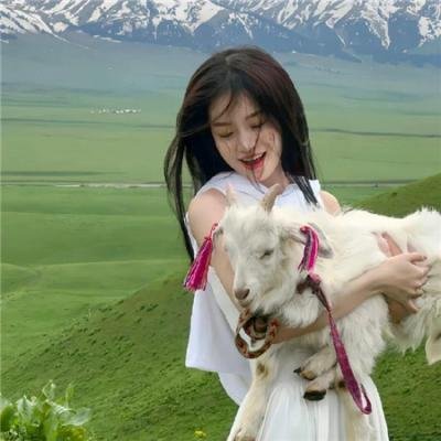 芝加哥警署第五季